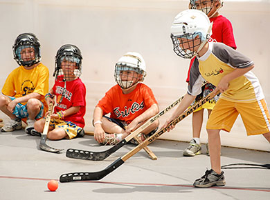 rockwood boys hockey